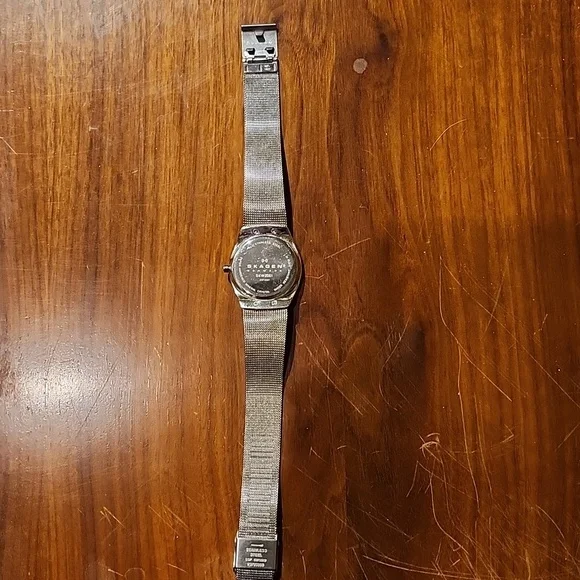 Skagen Asta Stainless Steel Mesh Watch w/Rose Face Date display picture 1